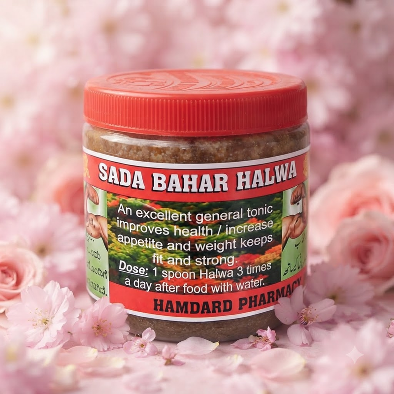 Sada Bahar Authentic Grand Halwa 100g