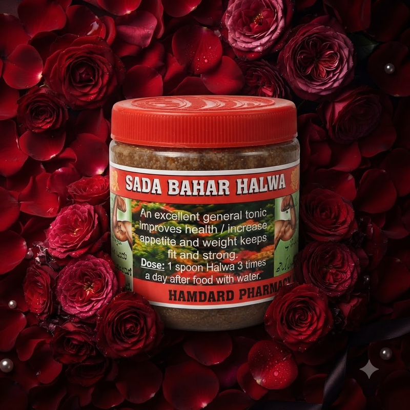Sada Bahar Premium Authentic Halwa 100g
