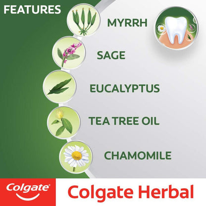 Colgate Anticavity Stronger Healthier Toothpaste Herbal 200gm