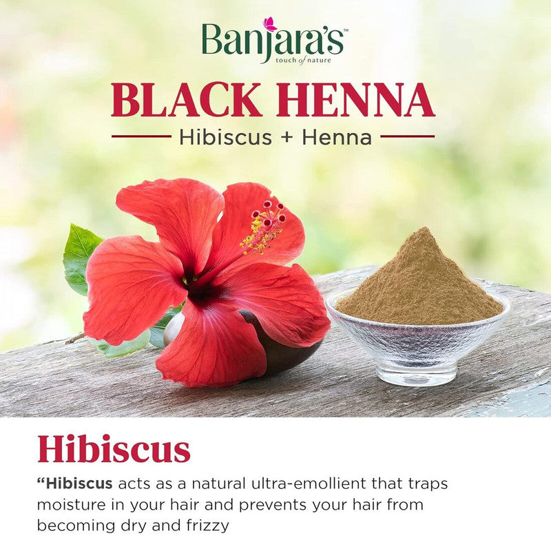 Banjaras Black Henna Hibiscus + Henna Hair Color 20g Pack of 2