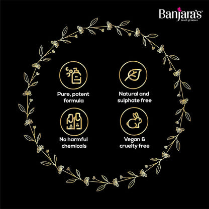 Banjaras Black Henna Amla + Henna Hair Color 20g Pack of 3