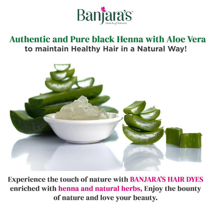 Banjara's Black Henna with Aloevera 20g (Pack Of 2) KartWalk