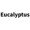 Eucalyptus