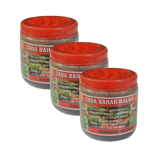 Sada Bahar Halwa 100g Pack of 3